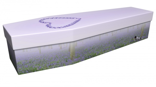 Cardboard Coffin with Bluebell Picture